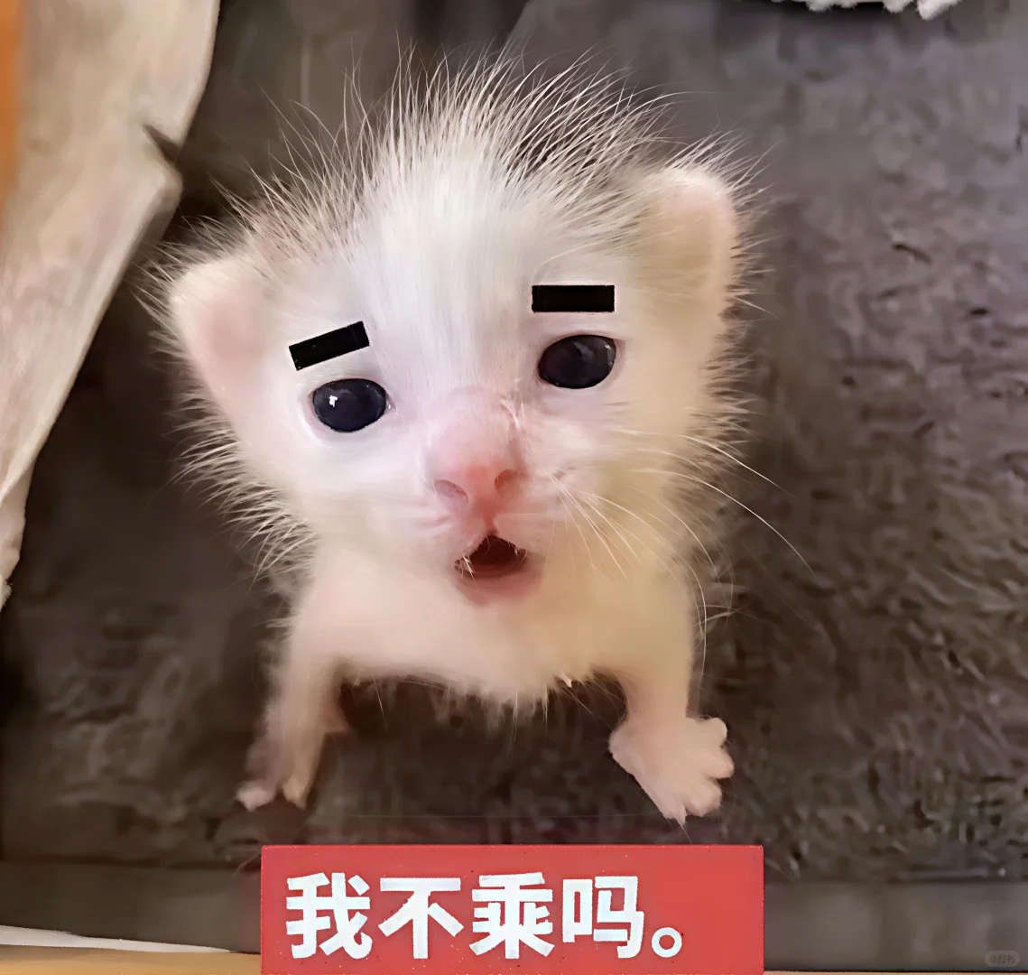 哈喽 有什么烦心事咪 ᳐ ᳐੭゙