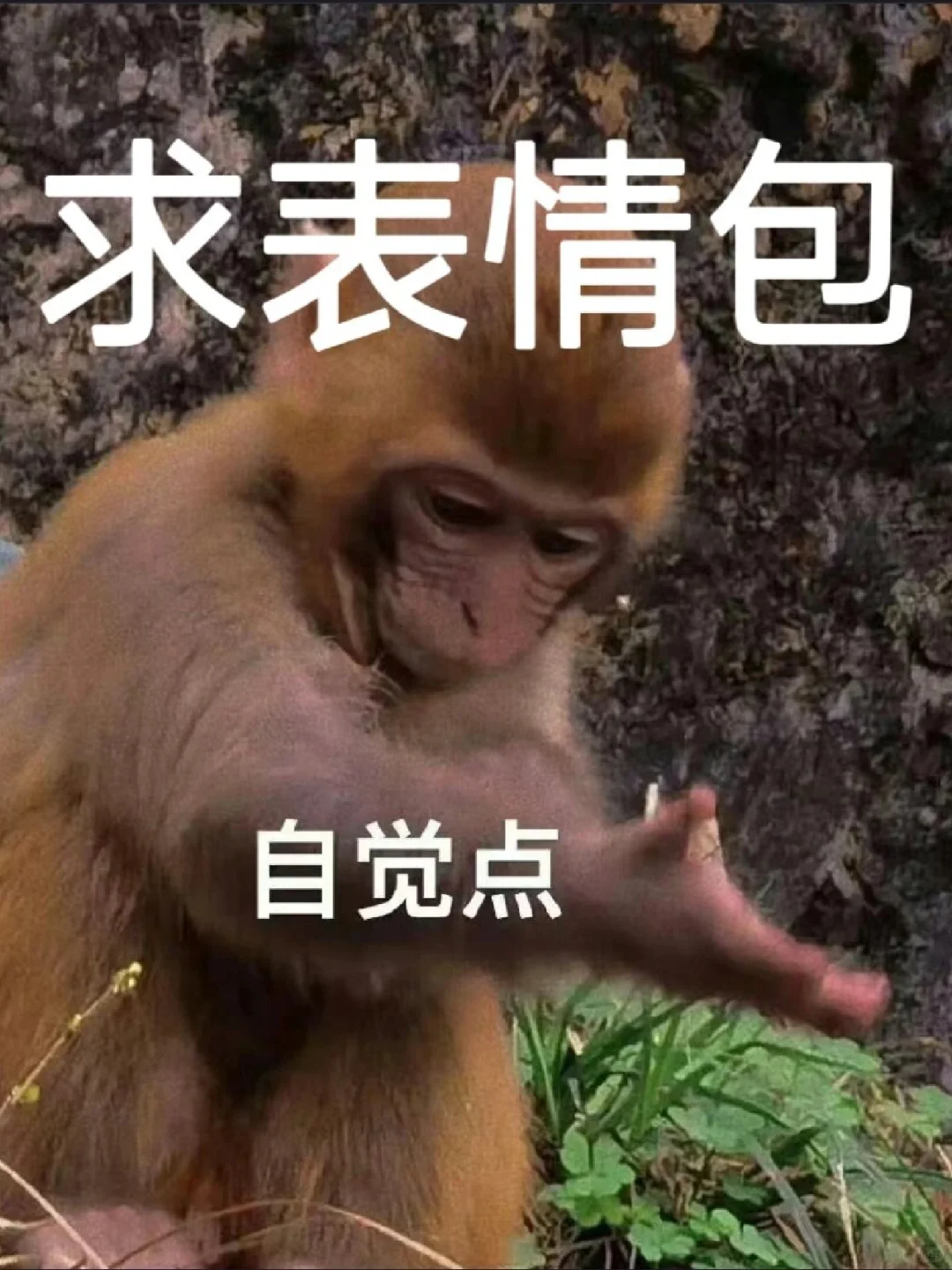 我来进货啦！