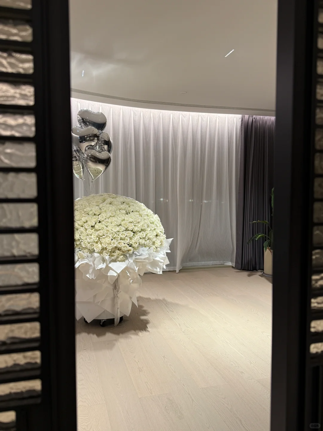 谢谢富婆姐姐的FaFa~