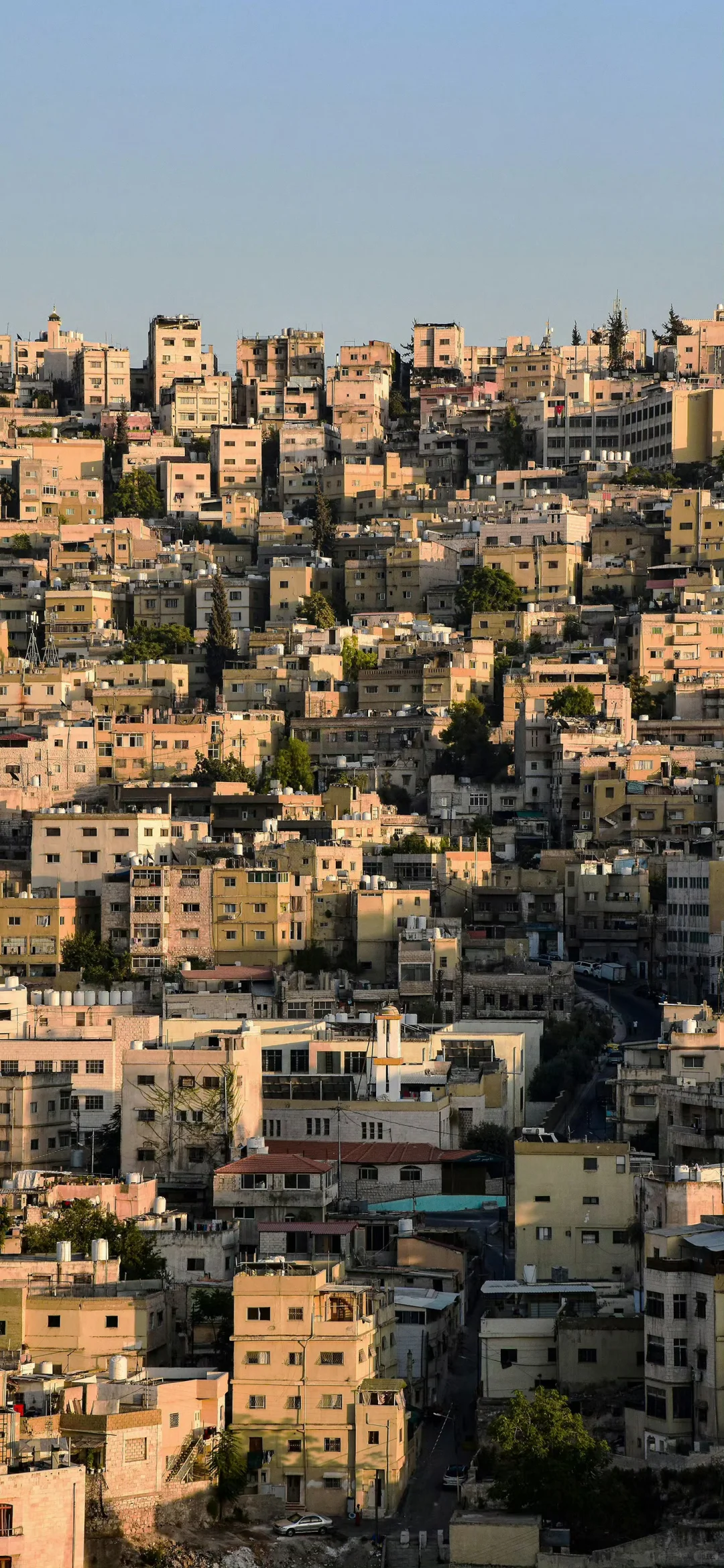 奈斯壁纸|4K景深效果手机壁纸