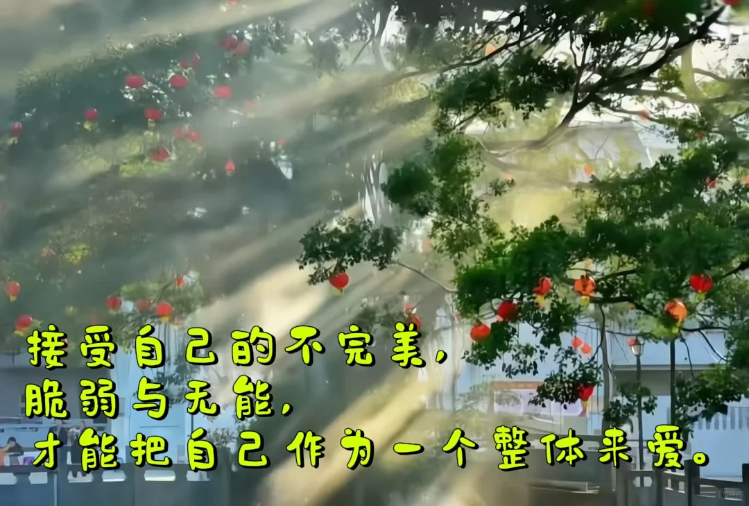 我好喜欢这俩个呀😊