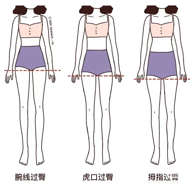 从身体功能角度分析为何选模特要腕线过裆
