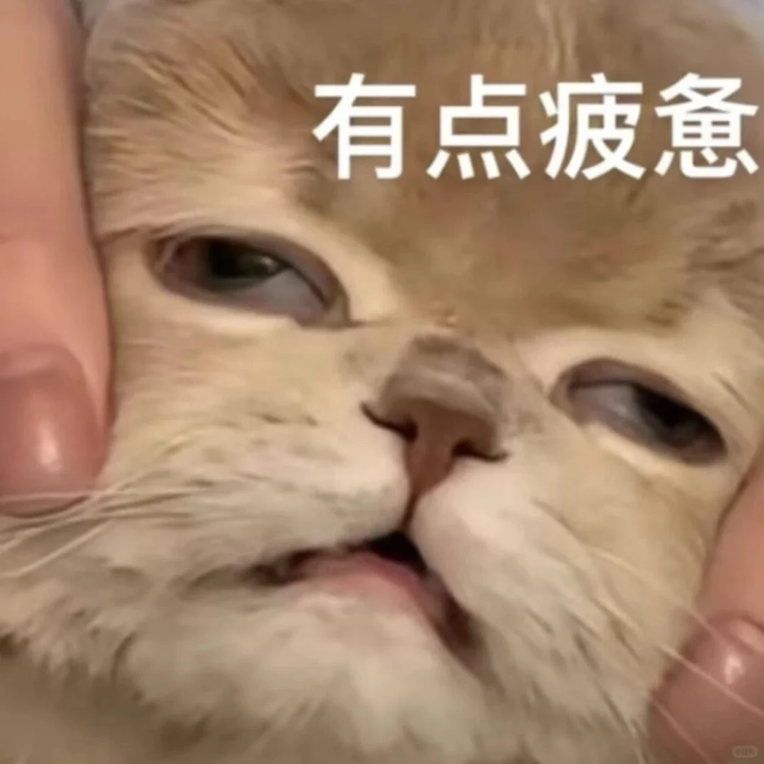 你老公的聊天表情包、亲嘴亲嘴