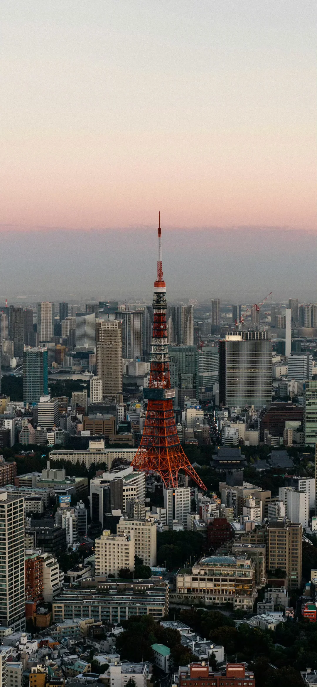 奈斯壁纸|4K景深效果手机壁纸