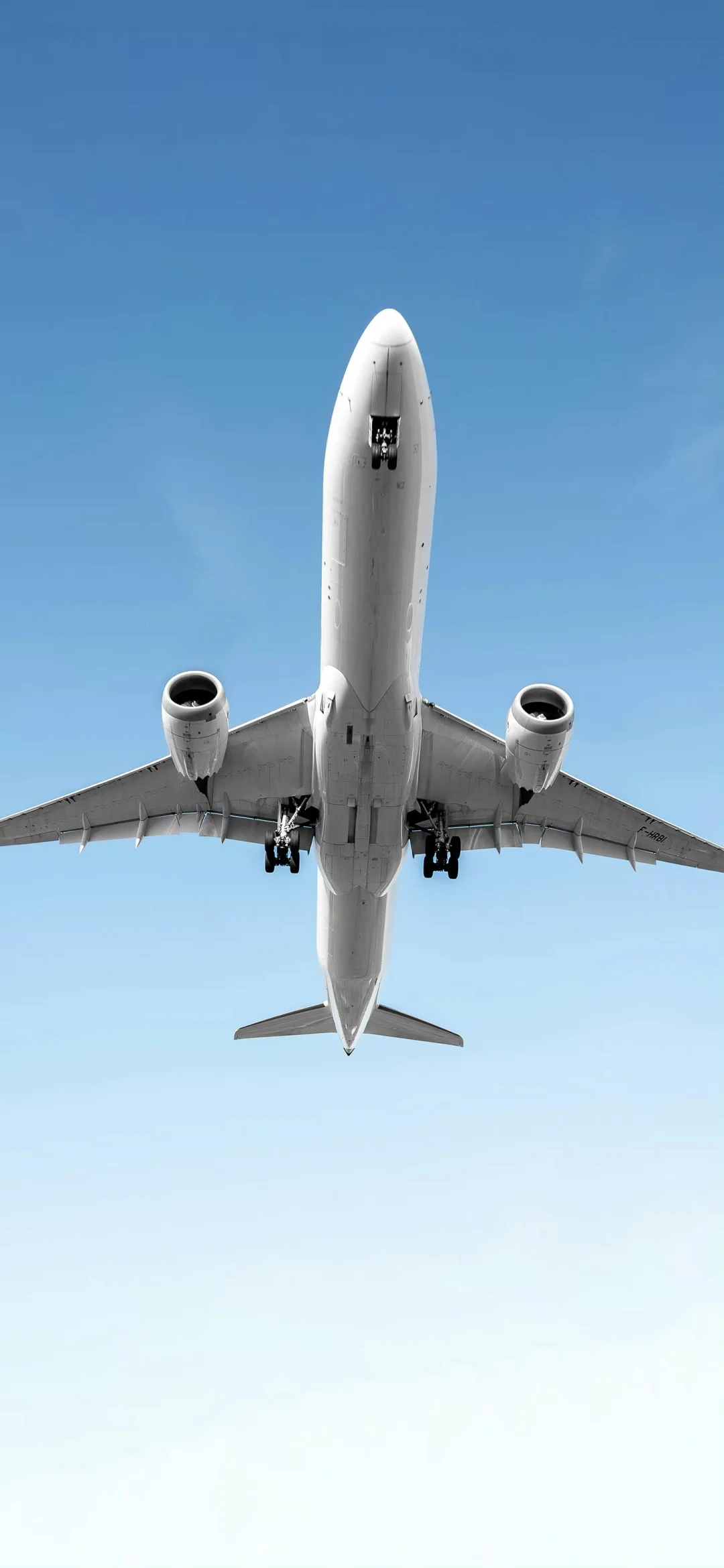 奈斯壁纸|4K景深效果手机壁纸