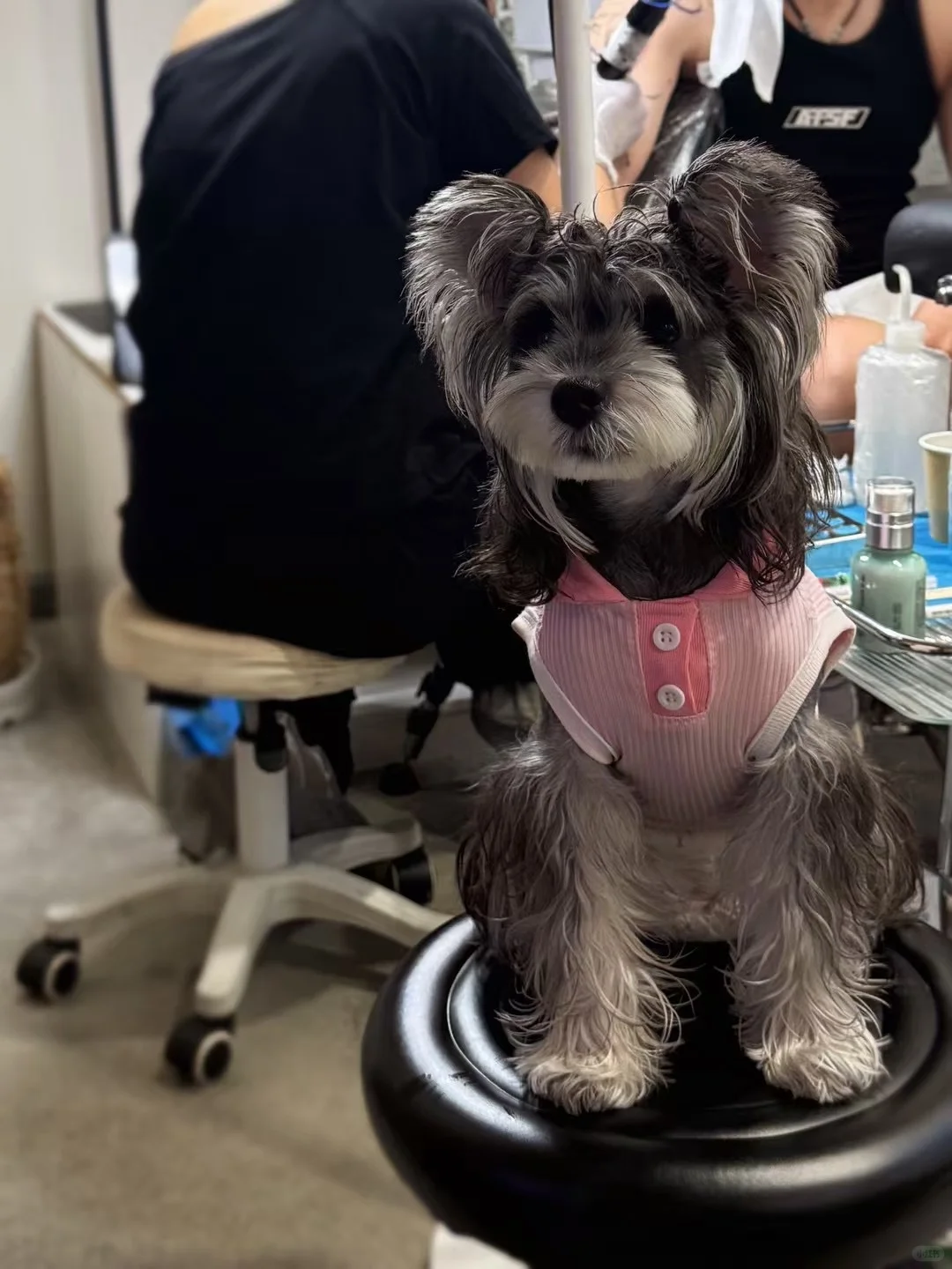 武汉纹身|意识流线条人物设计