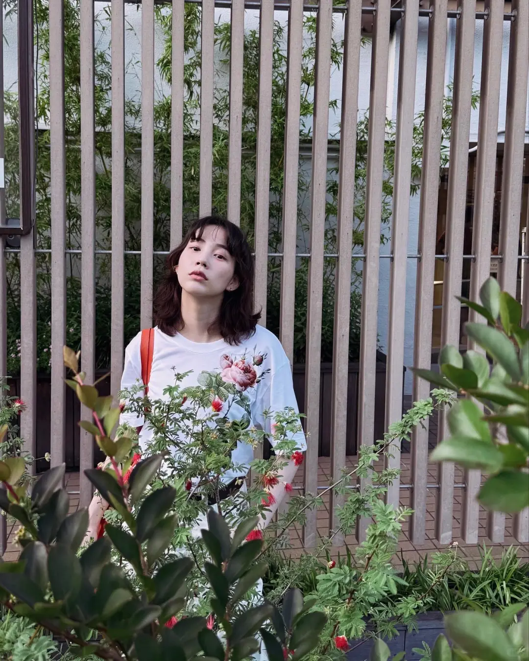 就这样水灵灵地出现