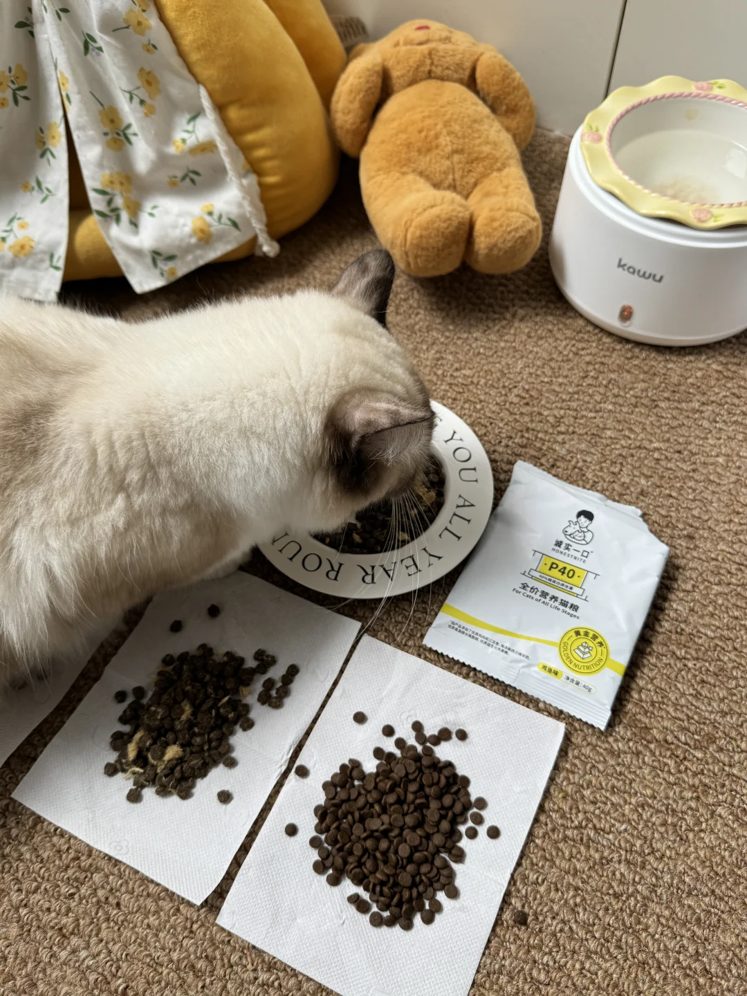 挑食猫猫粮试吃报告：肉丝多的赢了！