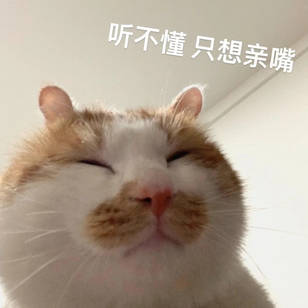 你老公的聊天表情包、亲嘴亲嘴