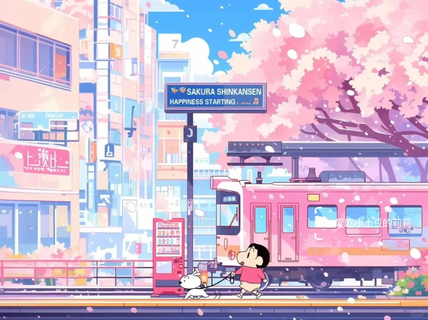 平板壁纸|4K高清电脑壁纸