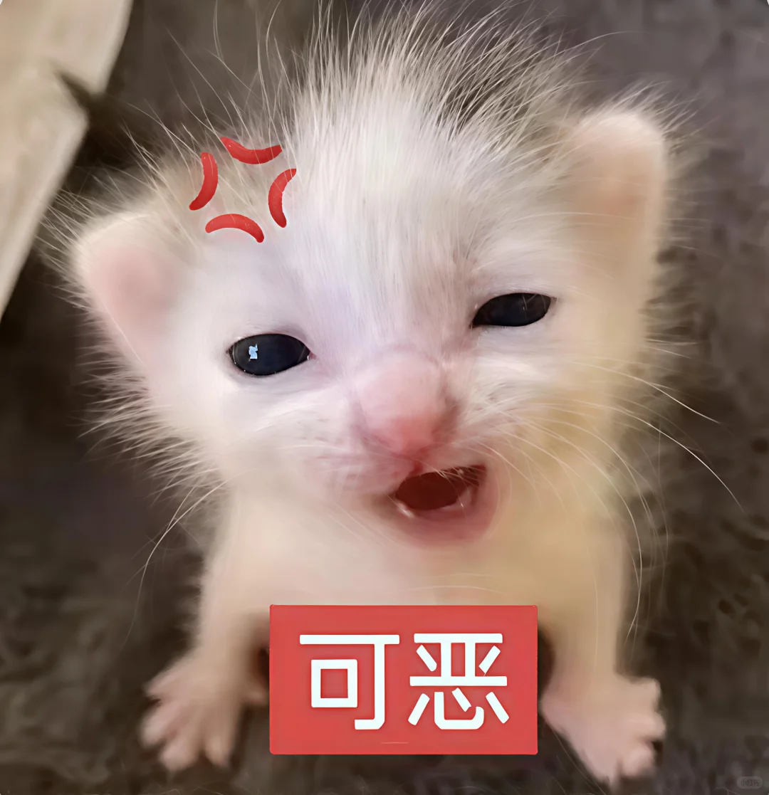 哈喽 有什么烦心事咪 ᳐ ᳐੭゙