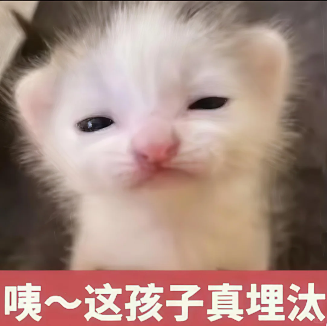 哈喽 有什么烦心事咪 ᳐ ᳐੭゙