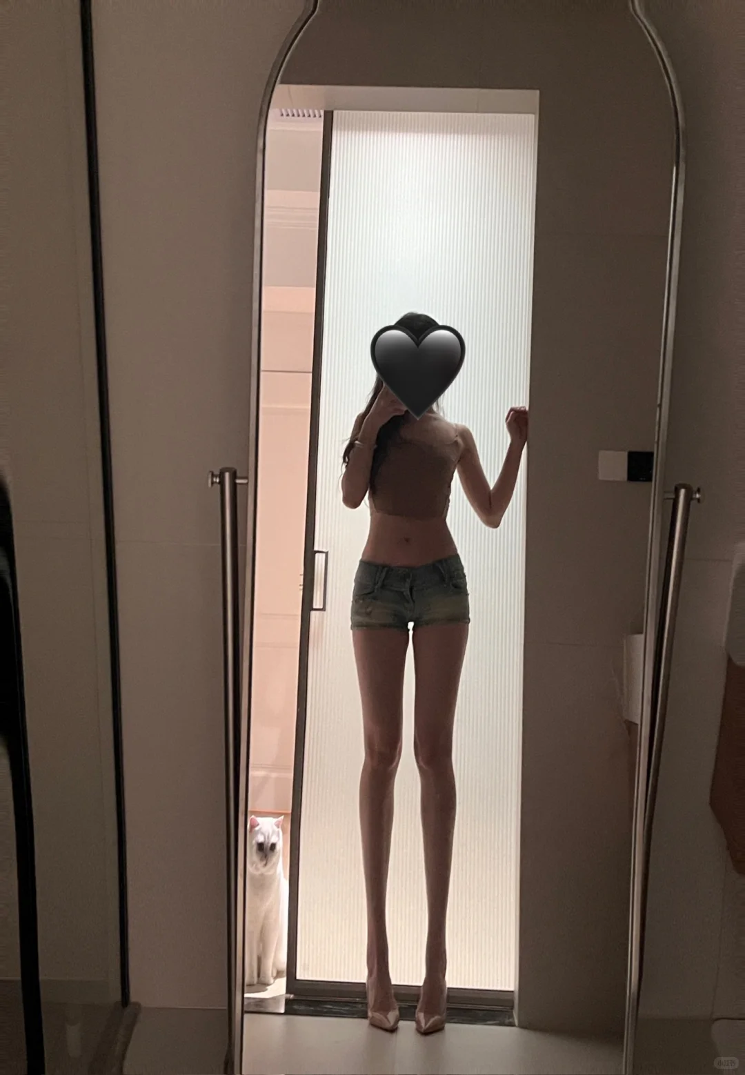 没p图没拉腿，求不搞错求不瞎科普。