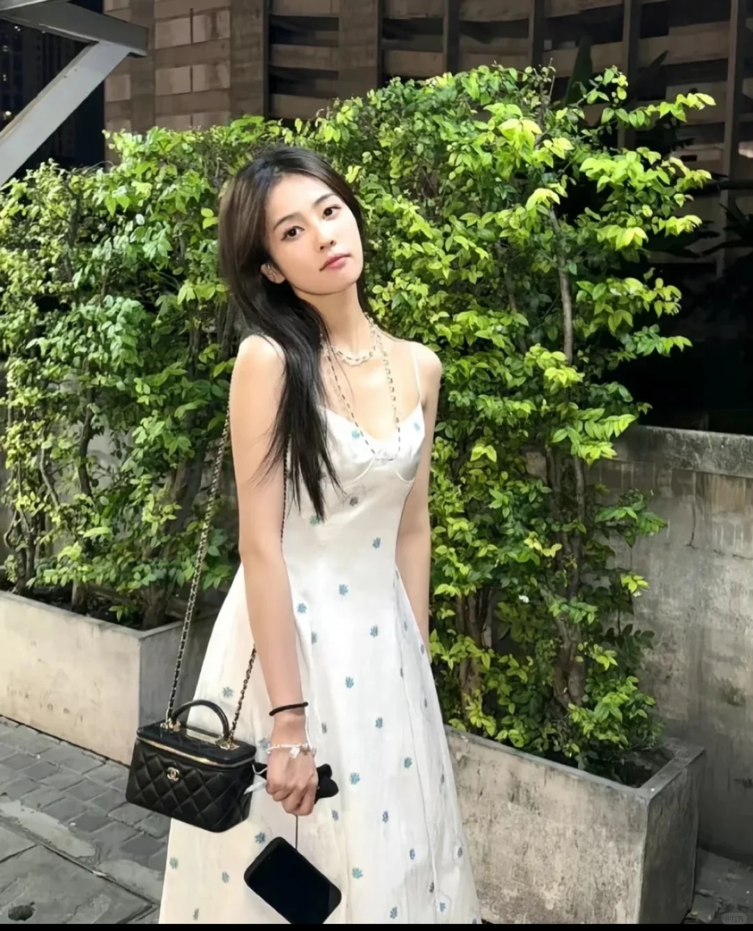 白鹿美照😍来了
