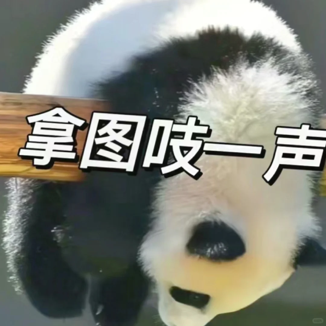 女生头像ins高级质感