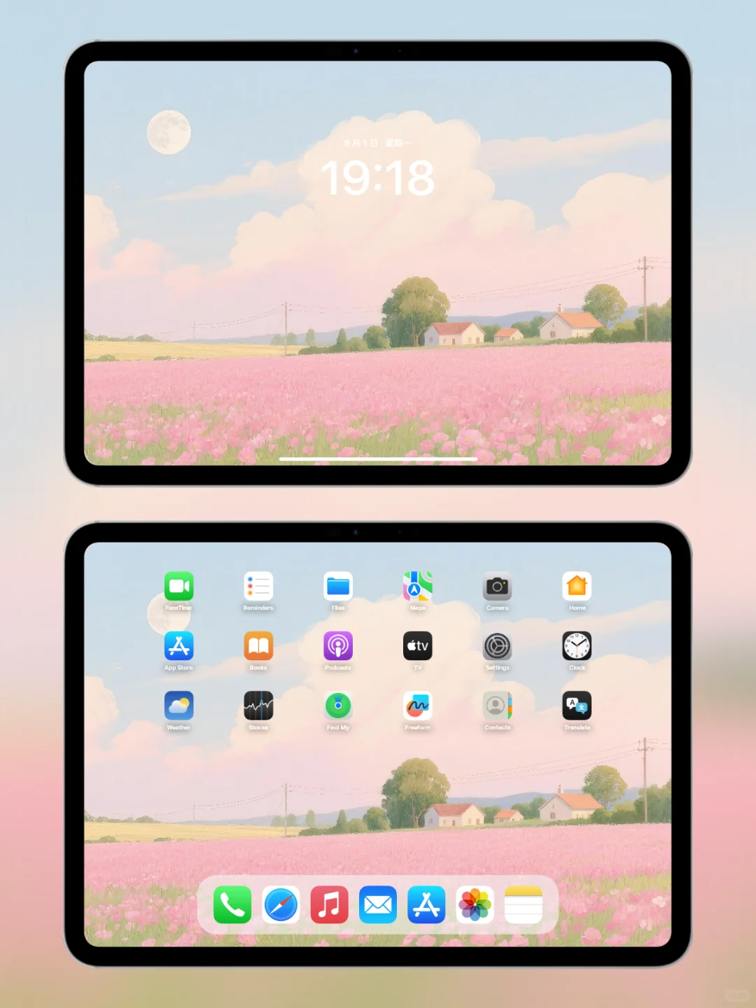 圆月照耀粉色花田|ipad壁纸