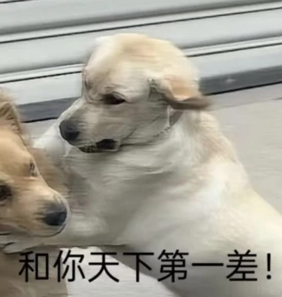 求一求这个表情包的动图