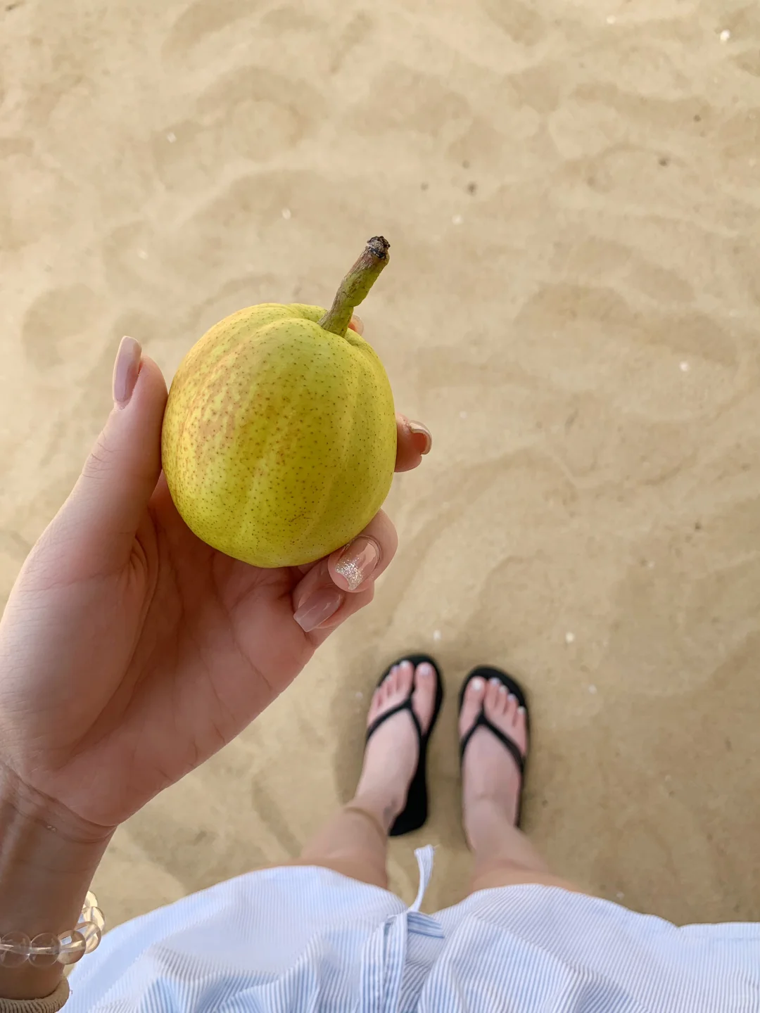 𓇼🐚☾☼₍˄·͈༝·͈˄*₎◞ ̑̑