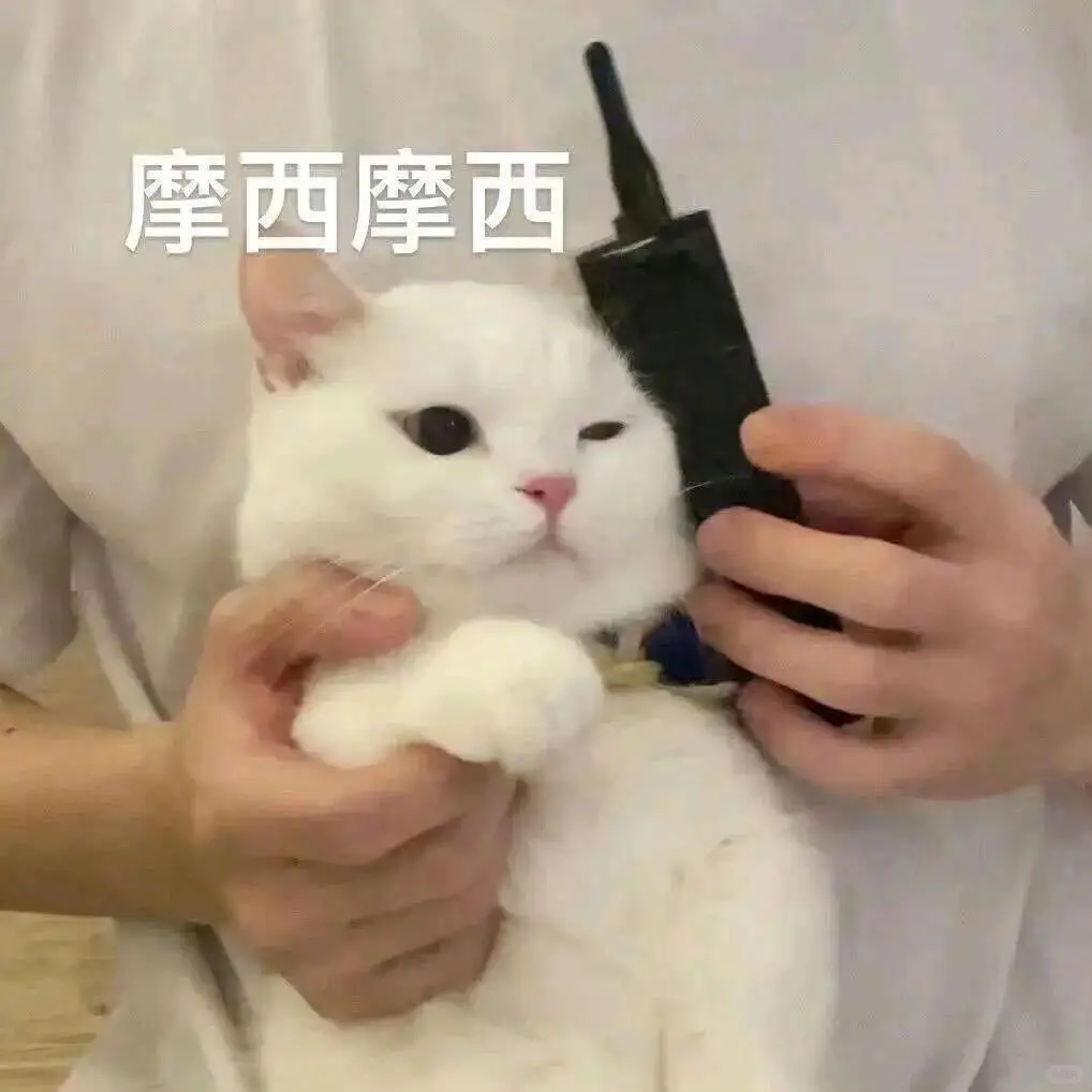你老公的聊天表情包、亲嘴亲嘴
