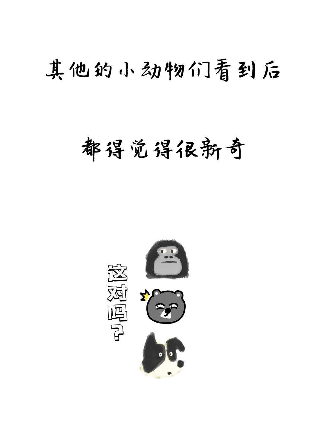 “谐”音梗的魅力,一句话让TA心动!😍