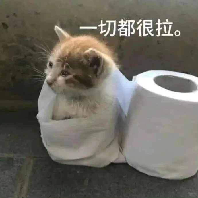 你老公的聊天表情包、亲嘴亲嘴