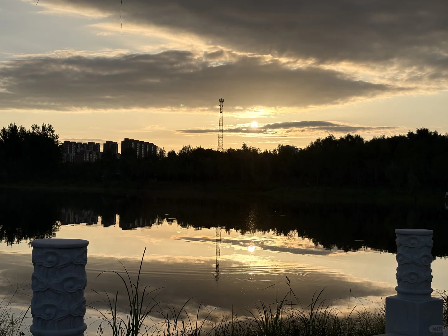 五点跑步🏃‍♀️八点上班😇我越来越牛👍