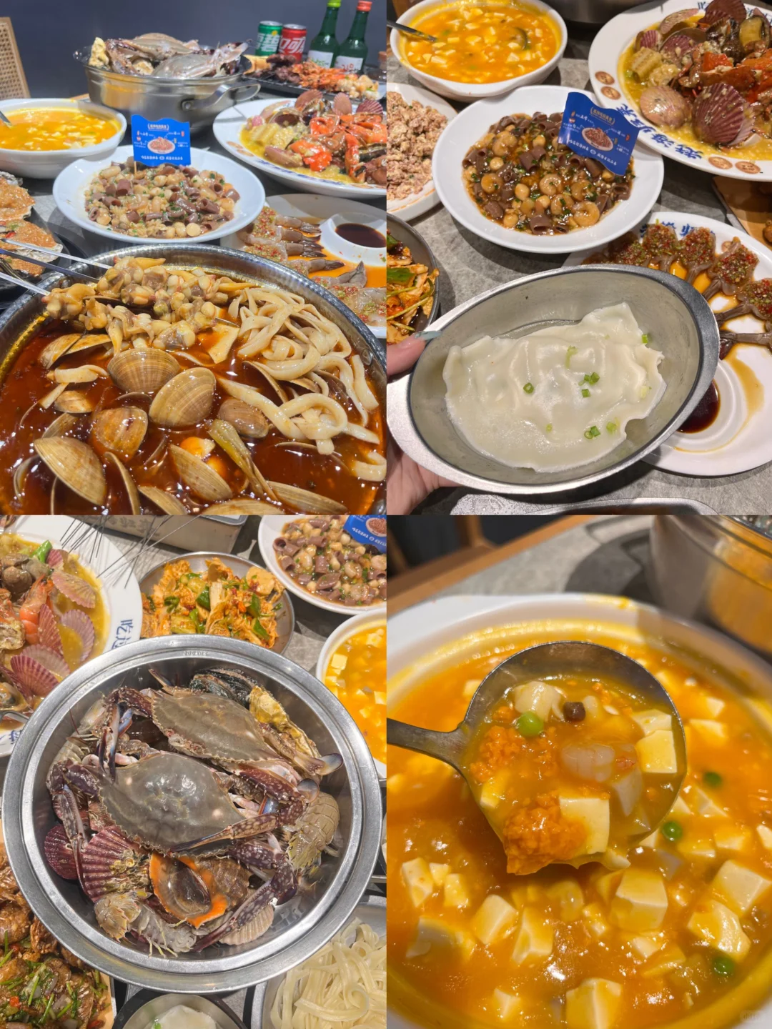 存一组冬日海边拍照姿势📸！（攻略篇）