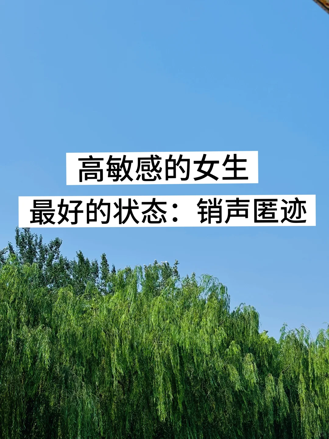 高敏感女生最好的状态:销声匿迹