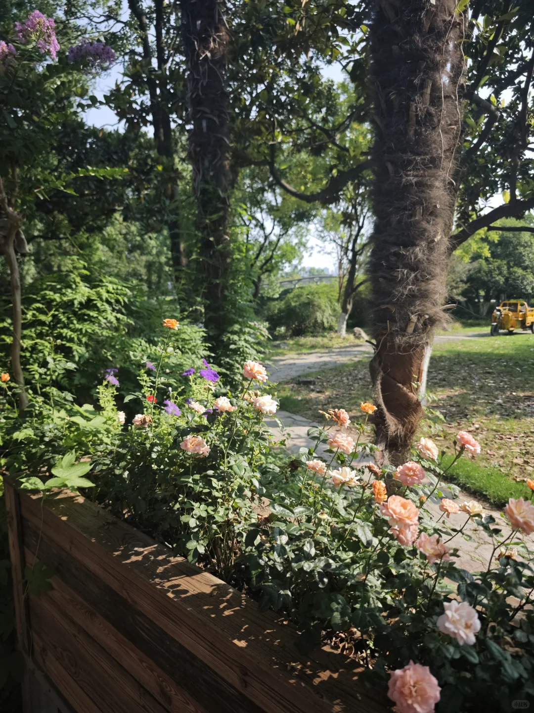 平静的日子就会变得温柔