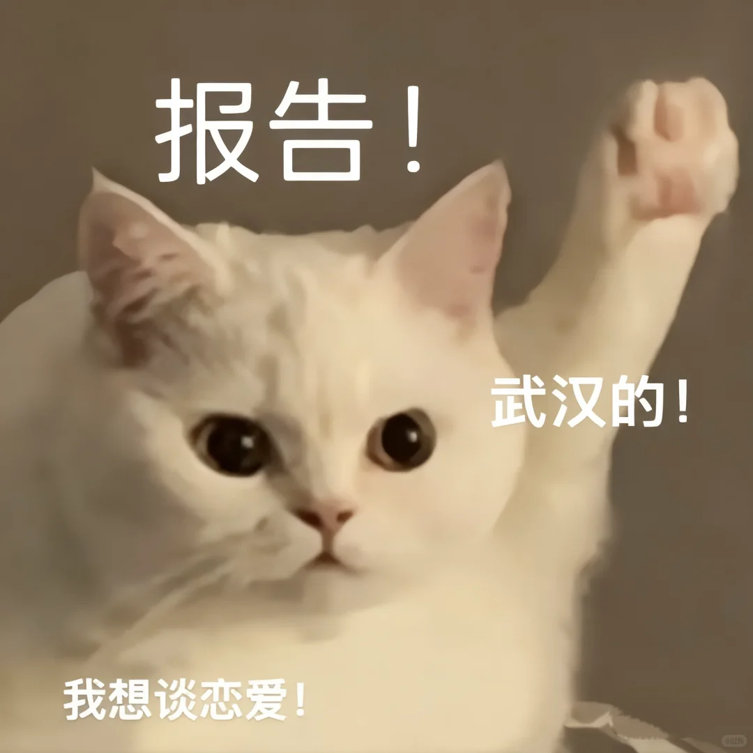 93，女，武汉，蹲个男友