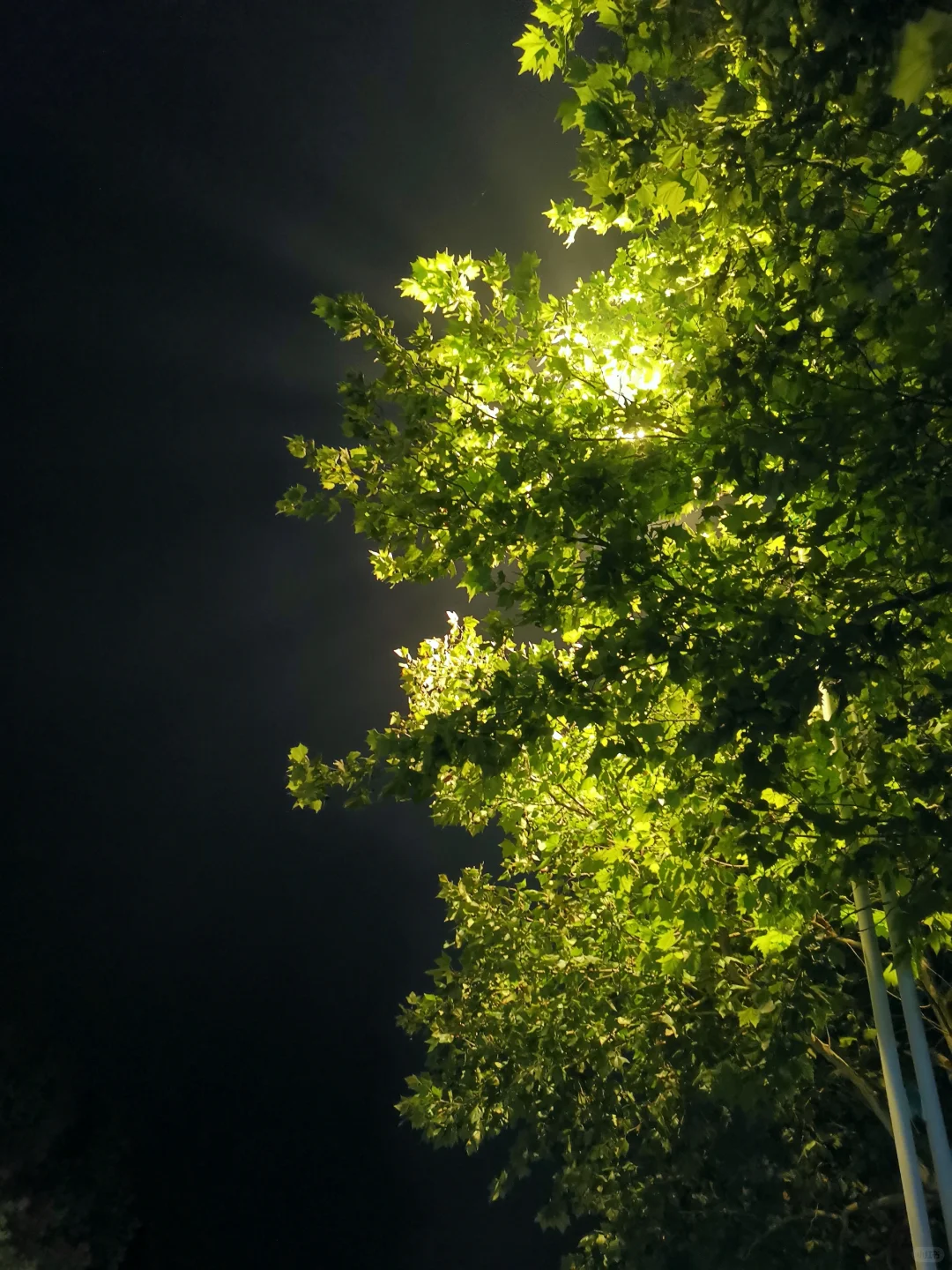 酱酱，分享一些我觉得特别有感染力的照片