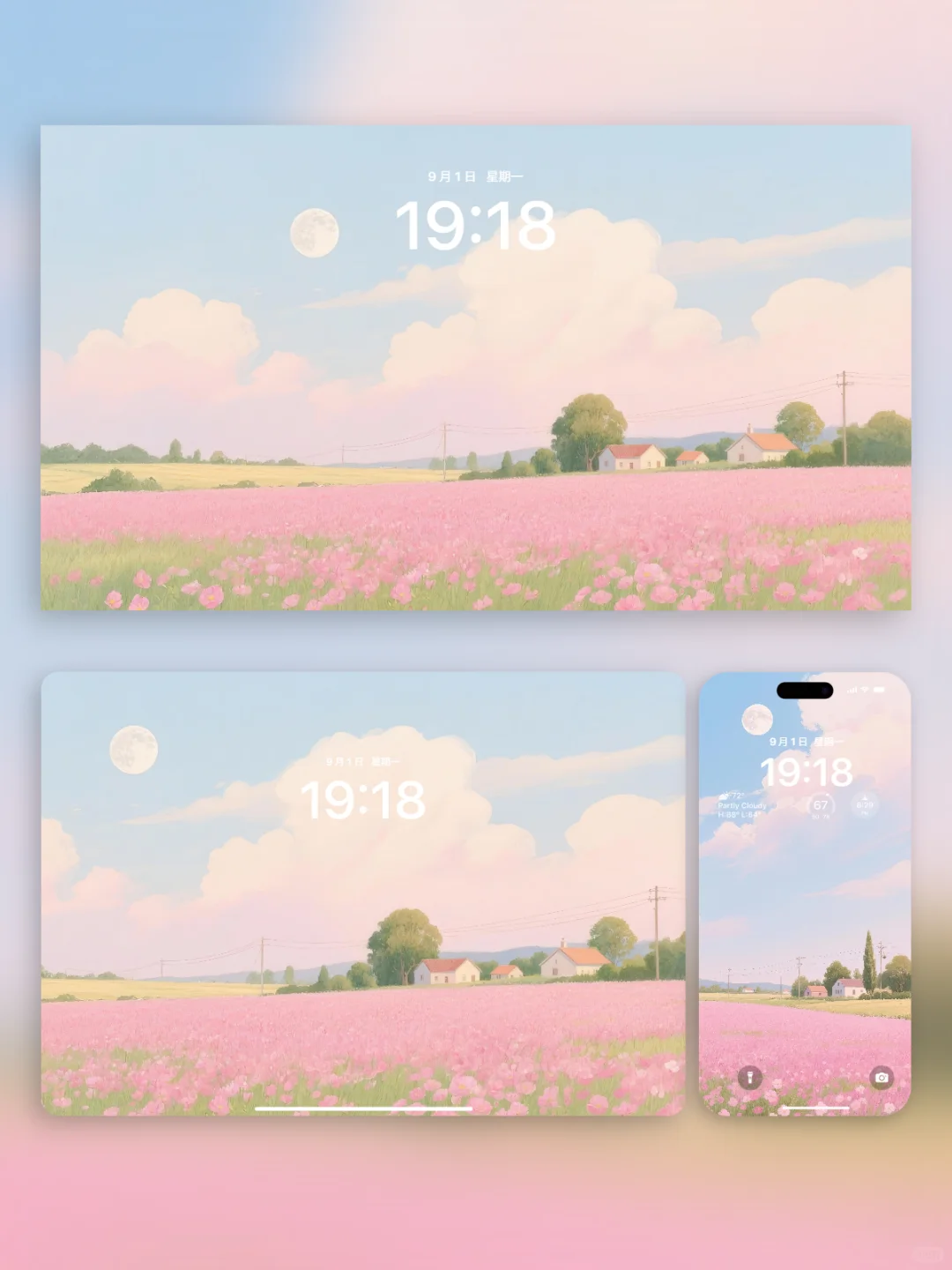 圆月照耀粉色花田|ipad壁纸