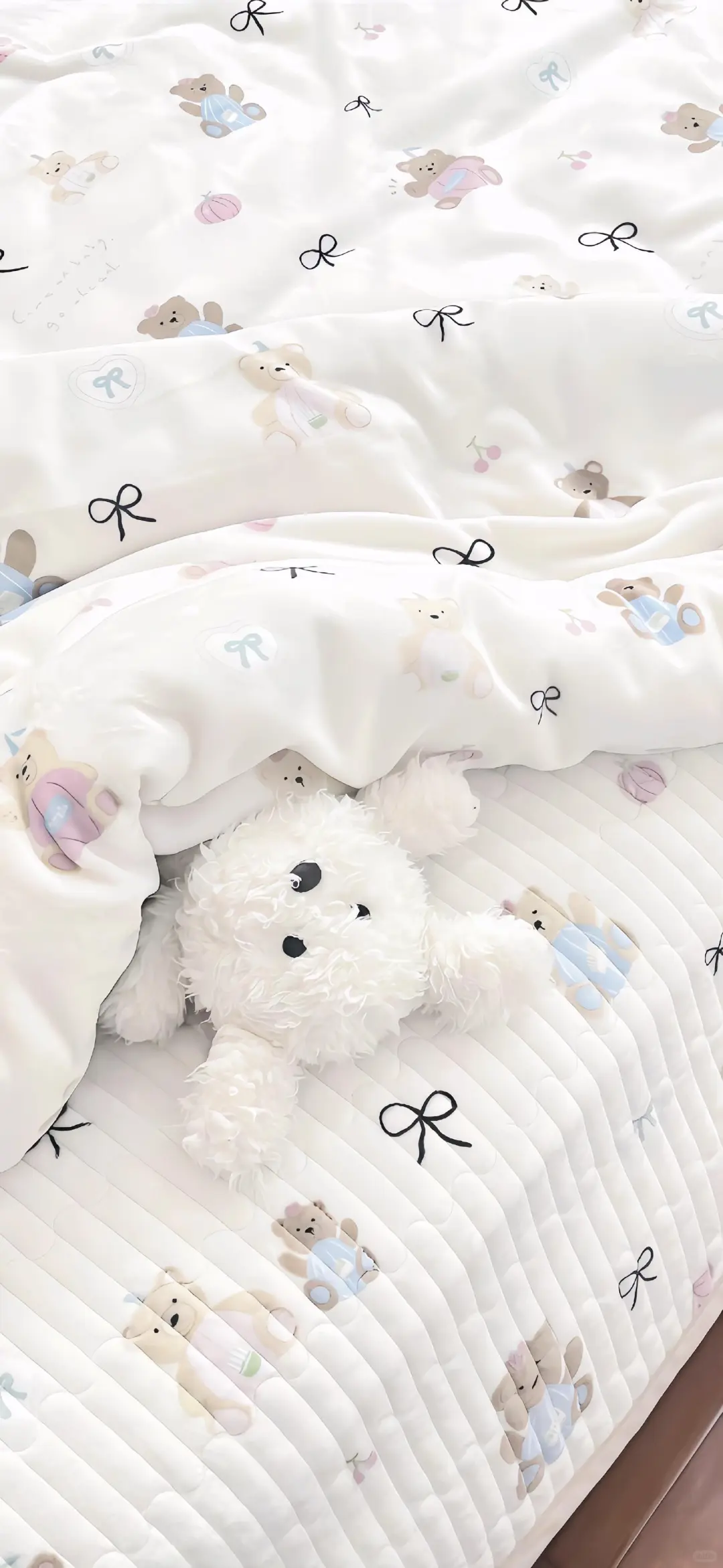 🍧𝗦𝗵𝗮𝗿𝗲 壁纸|可爱壁纸