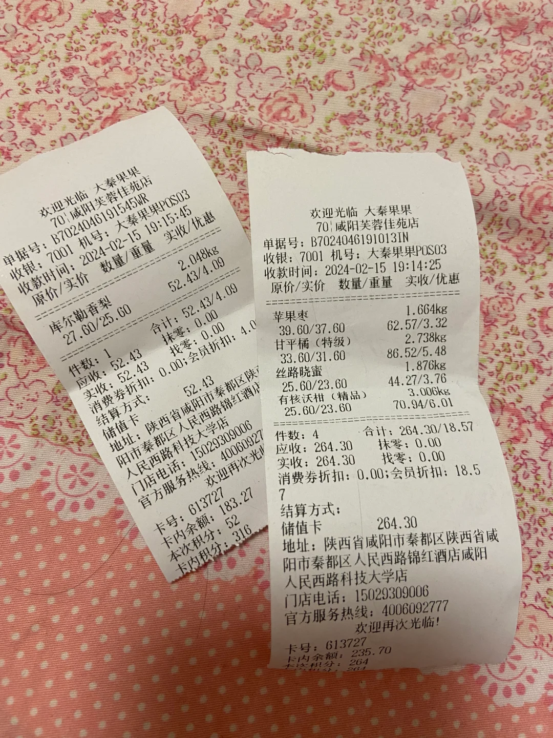 水果刺客-大秦果果