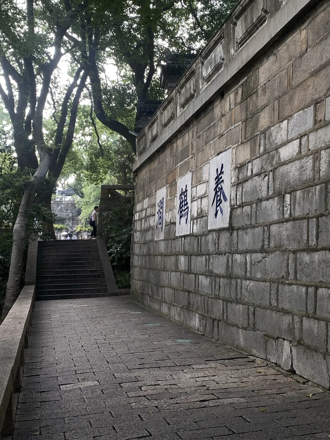 今天是穿露脐装去见阳光啊