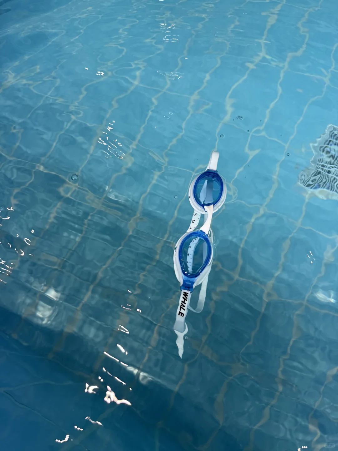 谁懂啊游泳也能这么美！