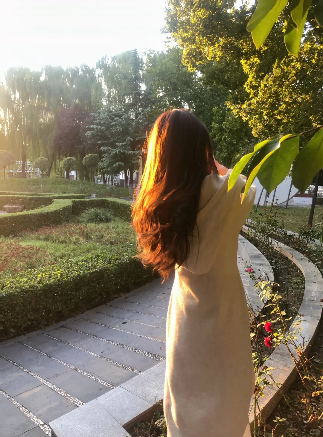 美女逛公园,宛如泡在阳光里