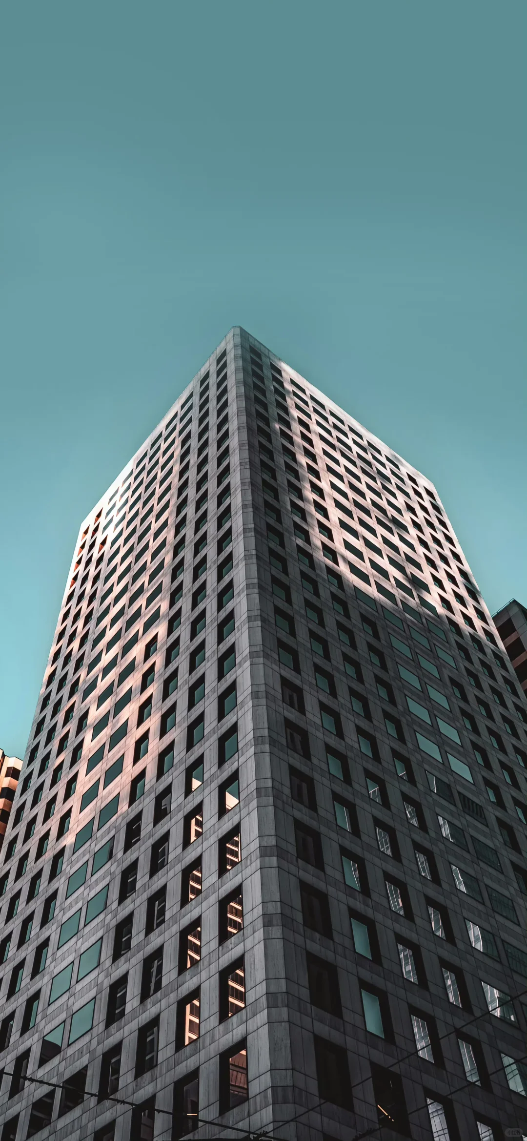 奈斯壁纸|4K景深效果手机壁纸