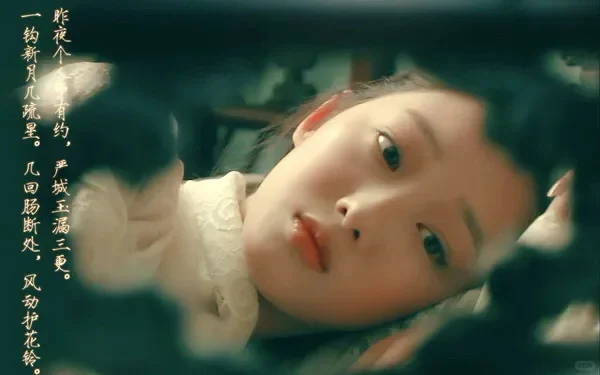 赏心悦目图鉴:蒋梦婕