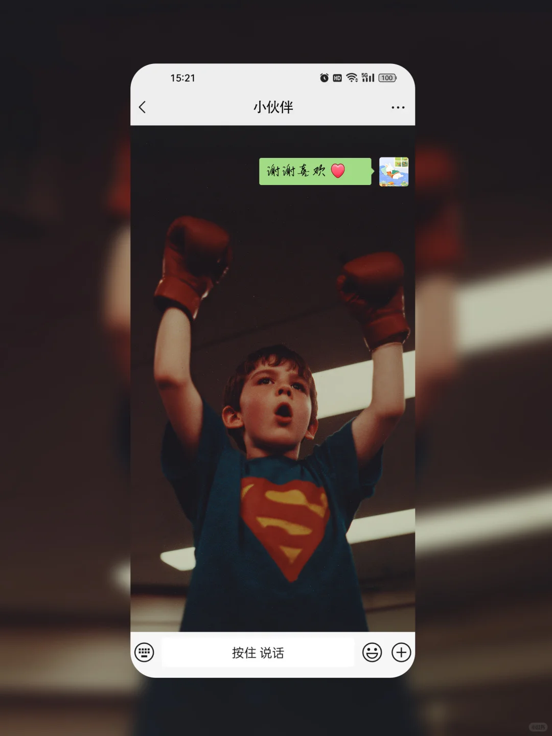 获胜的拳击小超人🥊135