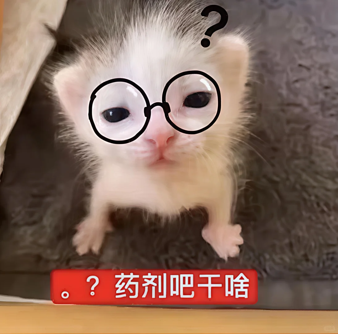 哈喽 有什么烦心事咪 ᳐ ᳐੭゙