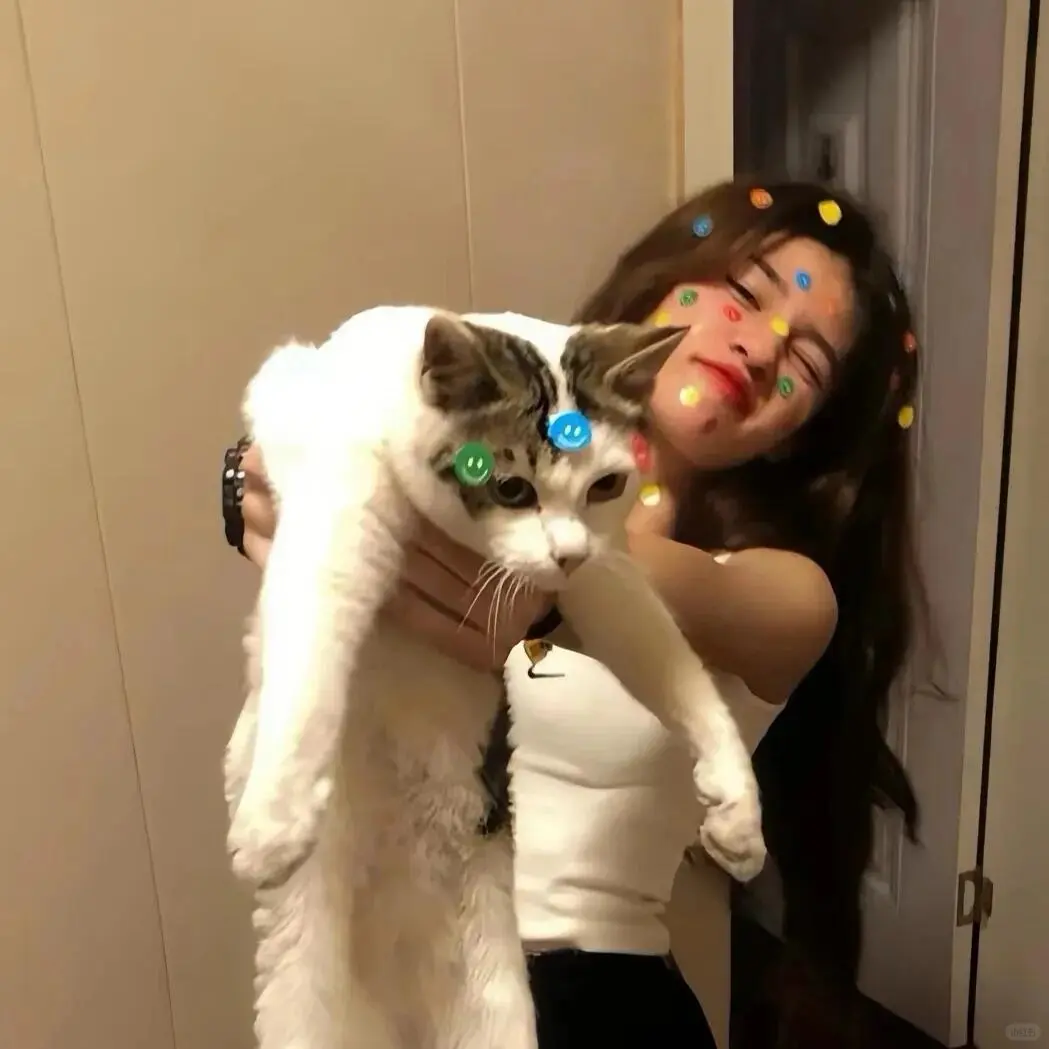 𝙒𝙚𝘾𝙝𝙖𝙩欧美头像~十四弹