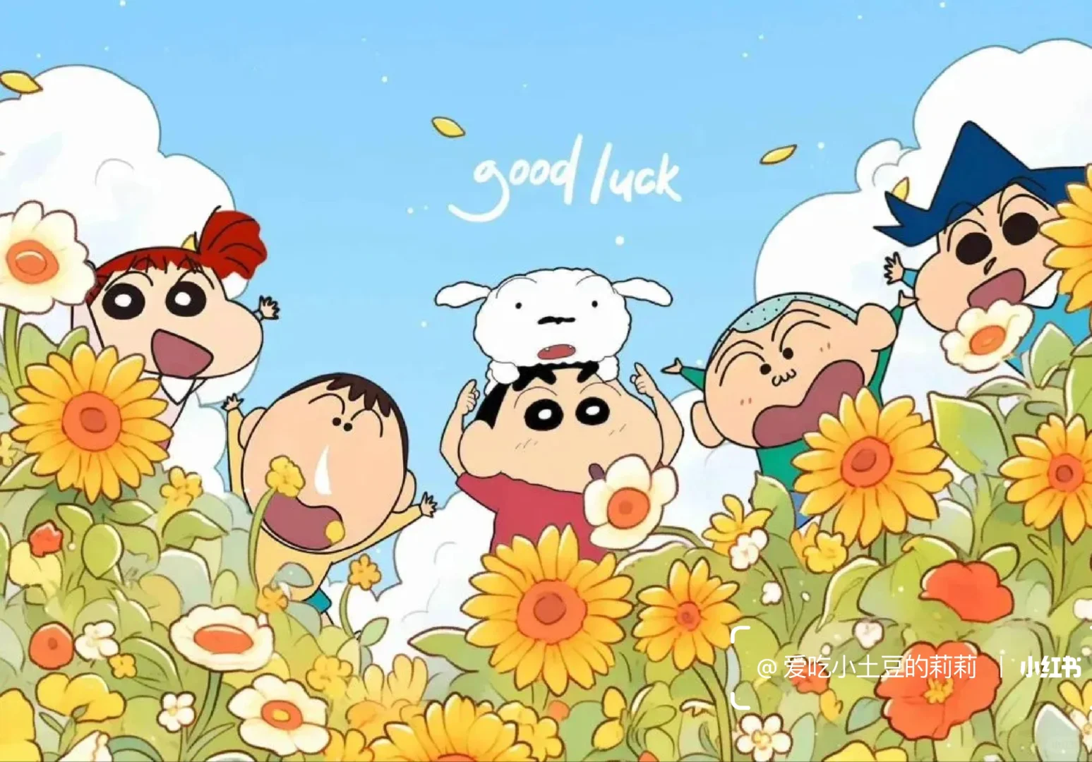 平板壁纸|4K高清电脑壁纸