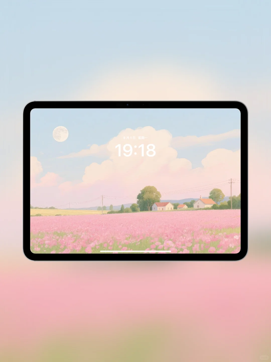 圆月照耀粉色花田|ipad壁纸