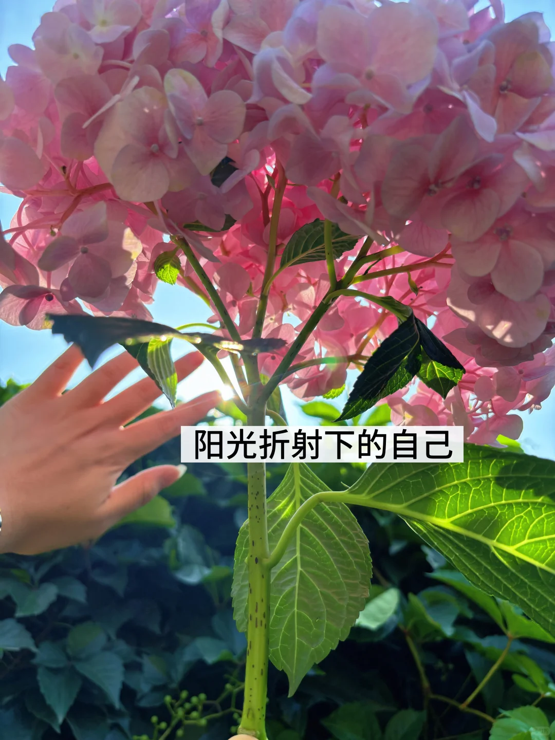 高敏感女生最好的状态:销声匿迹
