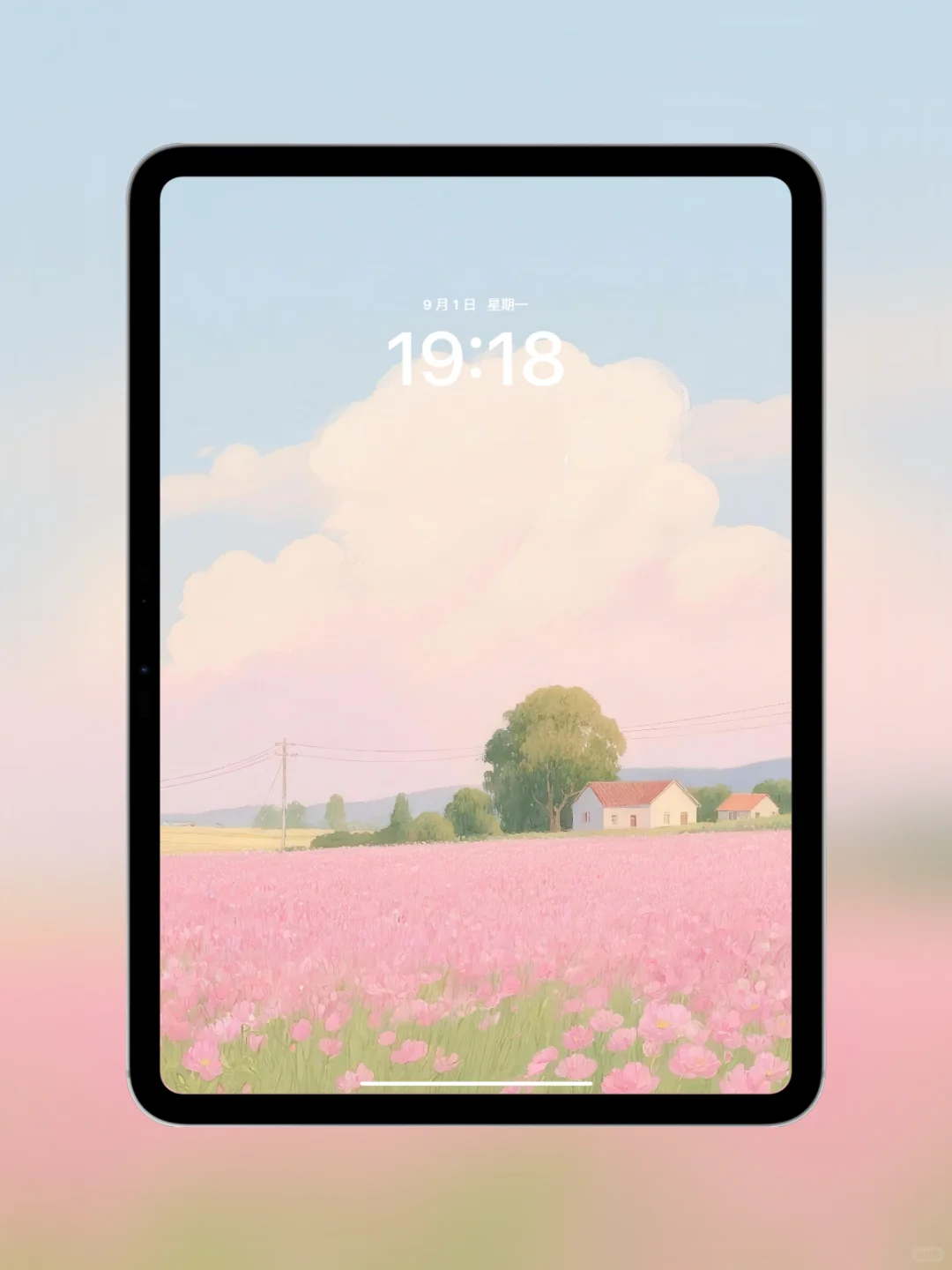 圆月照耀粉色花田|ipad壁纸