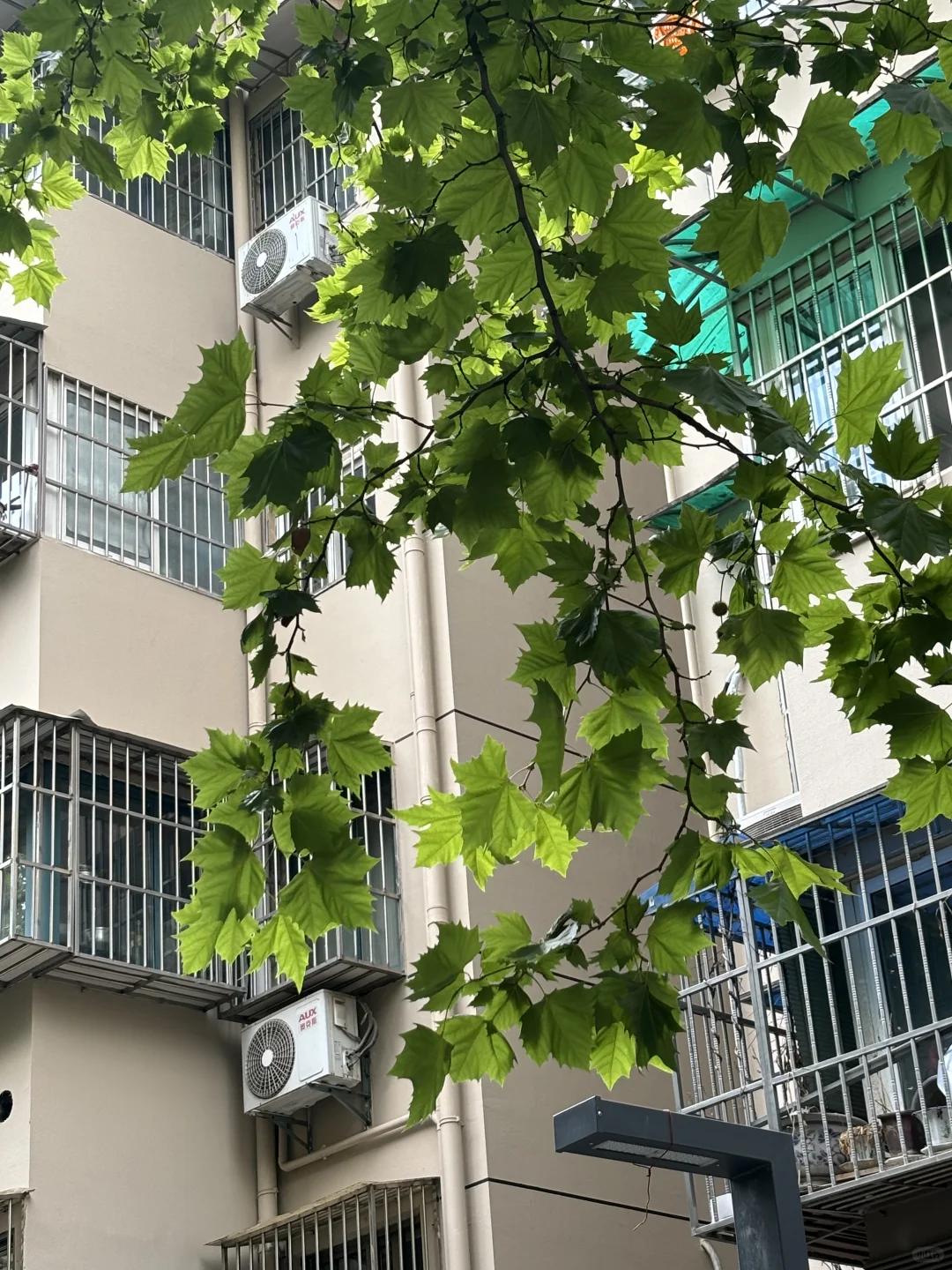 运动记录｜力量训练
