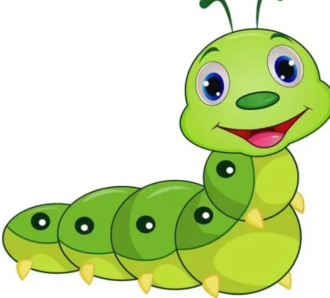 舞蹈老师的毛毛虫🐛体服