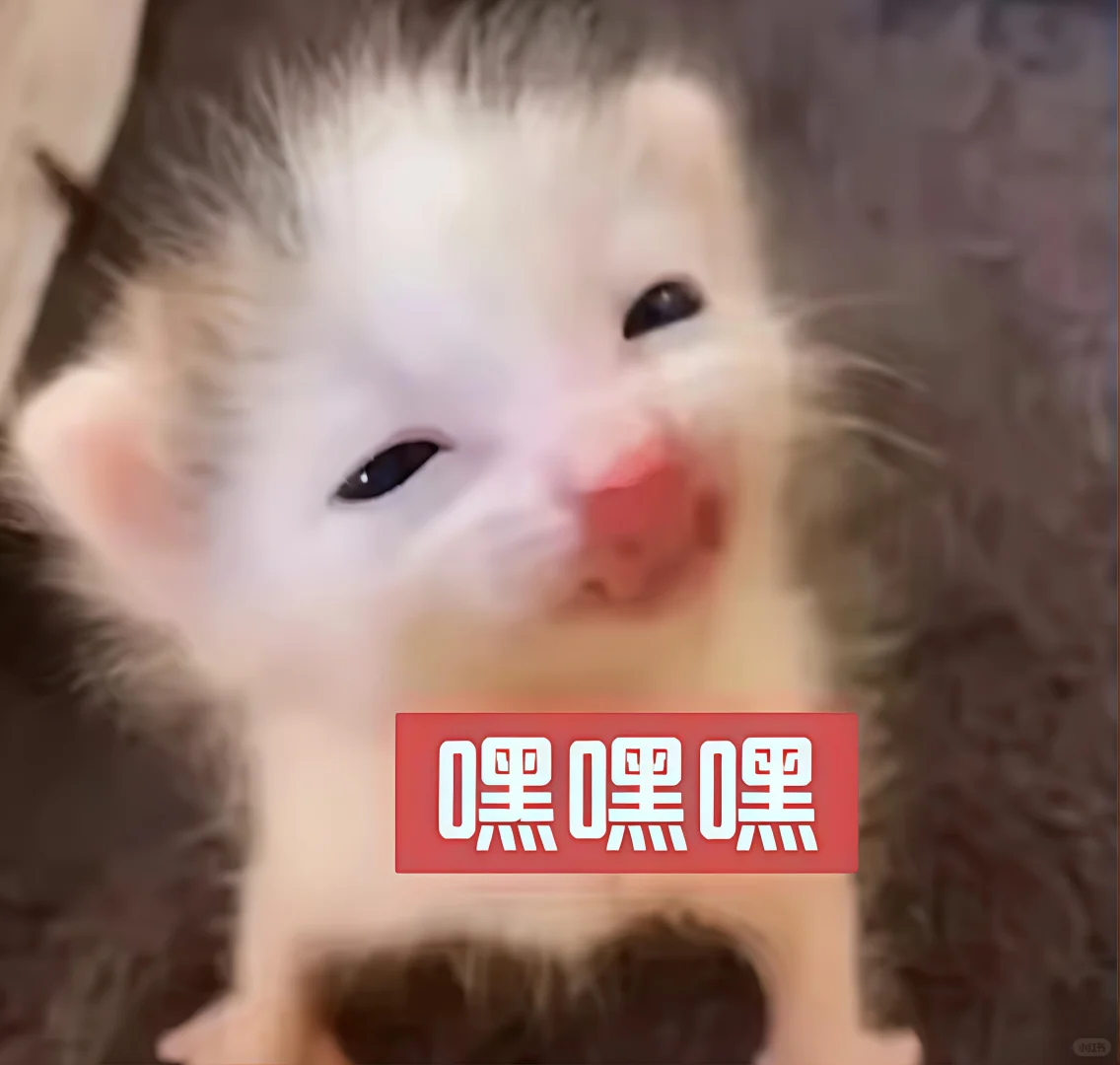 哈喽 有什么烦心事咪 ᳐ ᳐੭゙