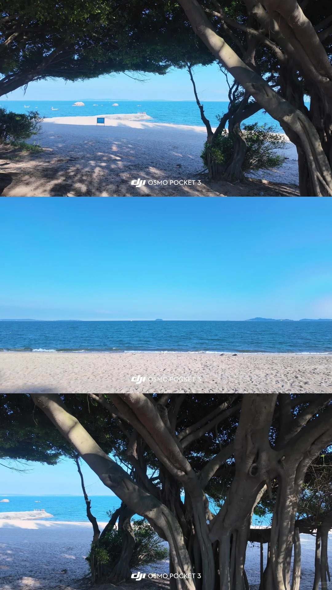 海边和野餐垫也太出片了吧!